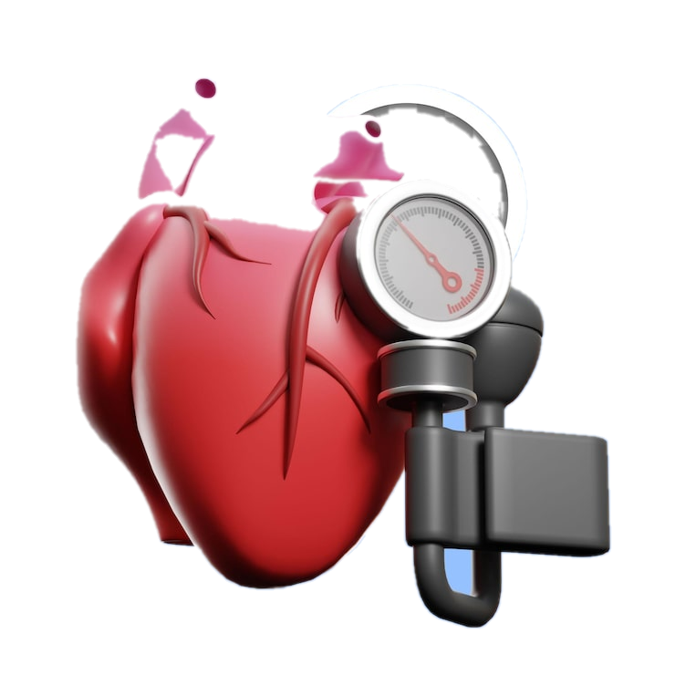Digital Blood Pressure Monitor